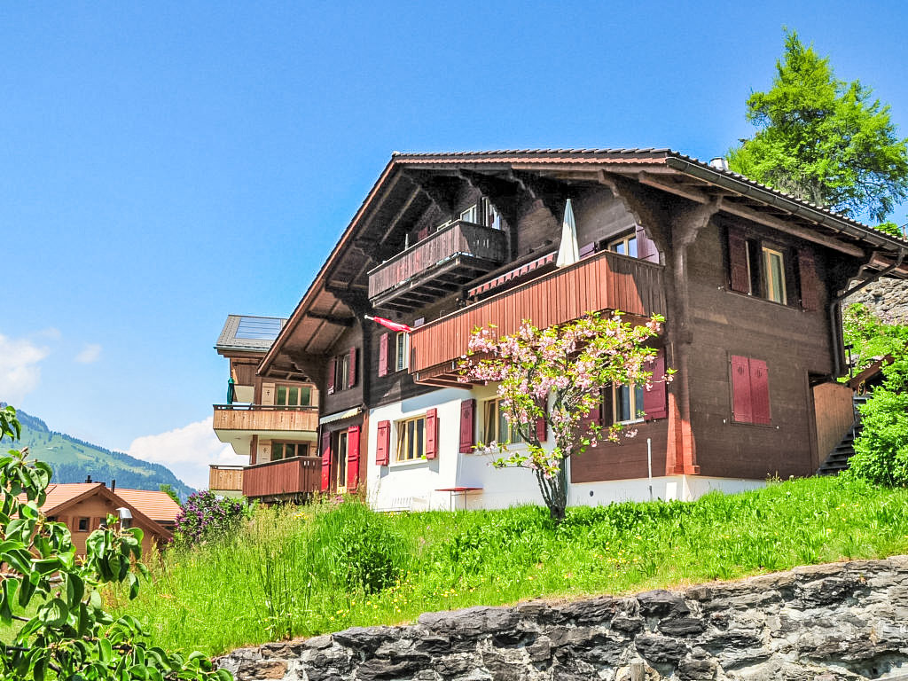 Appartement Eigersonne in Zwitserland
