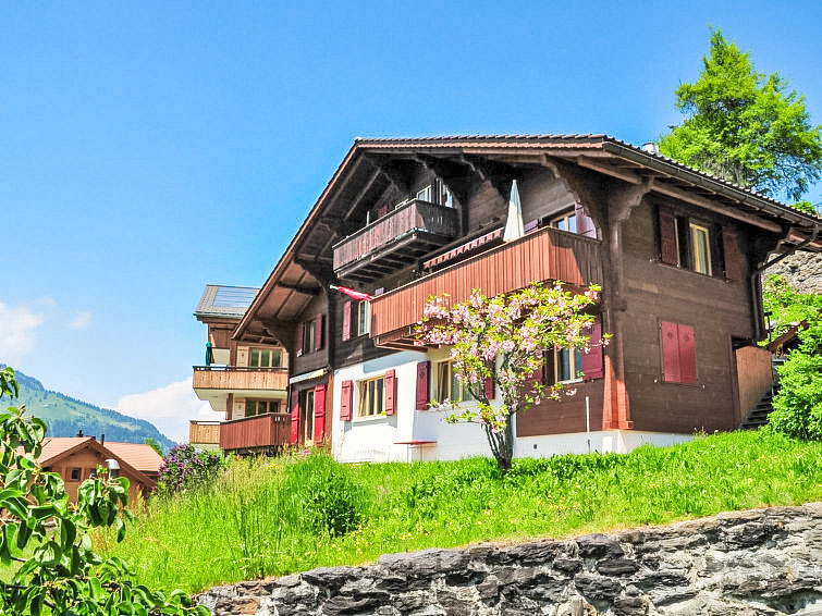 Eigersonne Apartment in Wengen