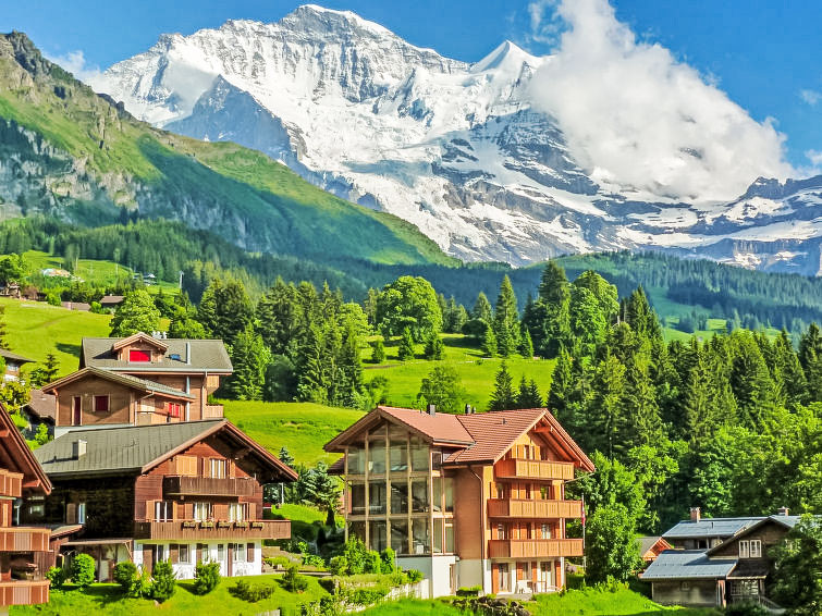 Fortuna Apt.M Apartment in Wengen