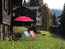 Op 600 m van de piste: Sfeervol appartement in Wengen - thumbnail 3
