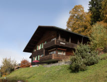 Zonnig chalet Diana in Wengen, vlakbij skipiste en met uitzicht op de bergen - thumbnail 1