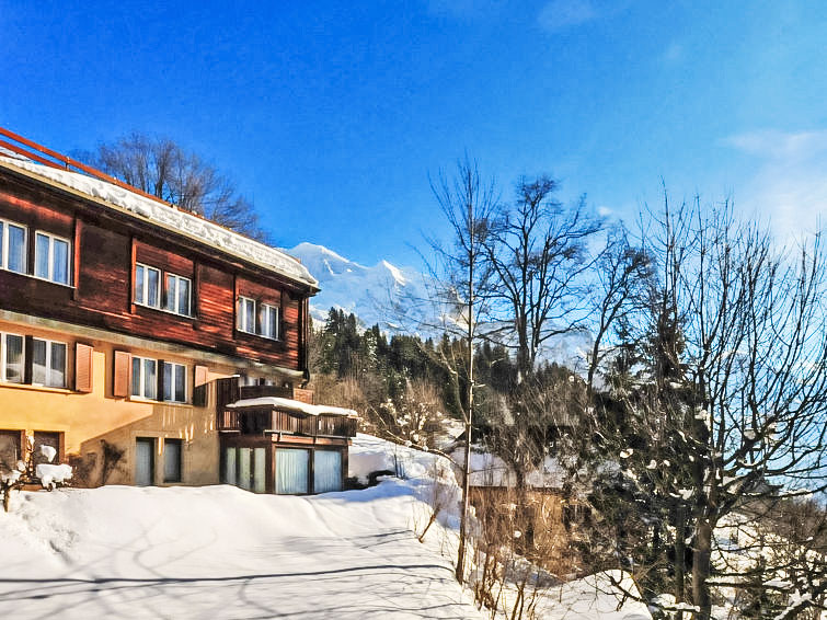 Schweizerhof Apt. S Apartment in Wengen