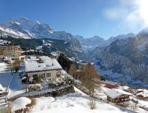 Apartment Schweizerhof Apt. S