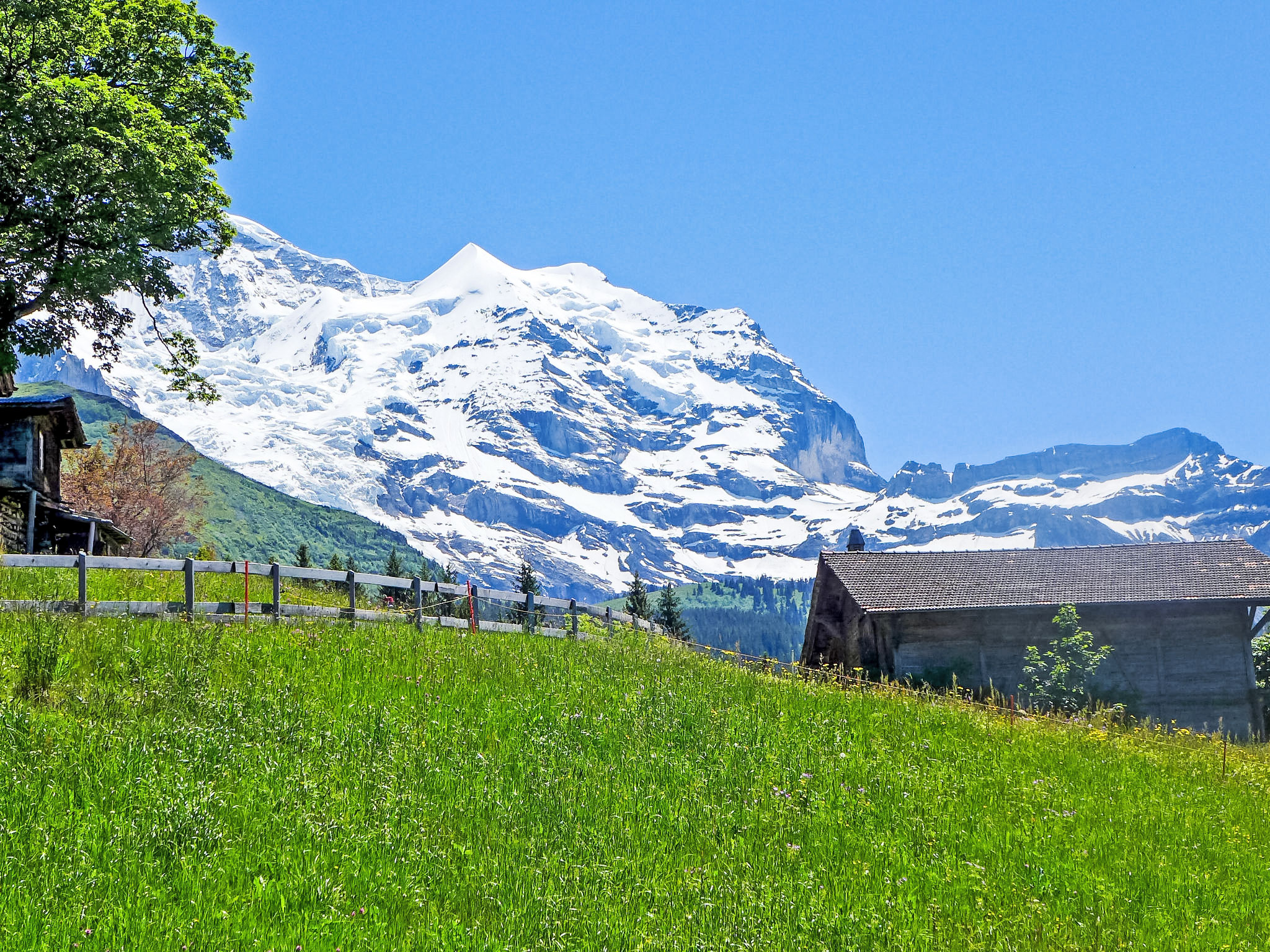 Photo of Tschingelhorn Apt. R