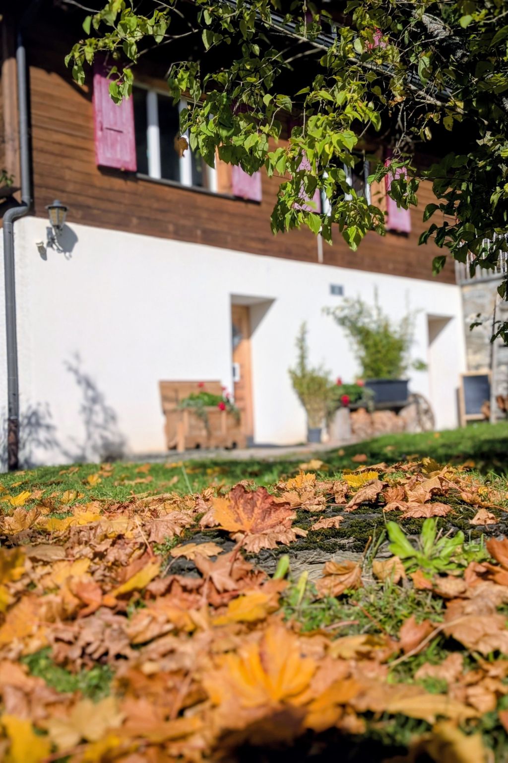 Photo of Chalet Sonnenhof