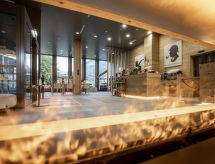 Appartement SWISSPEAK Resorts Meiringen