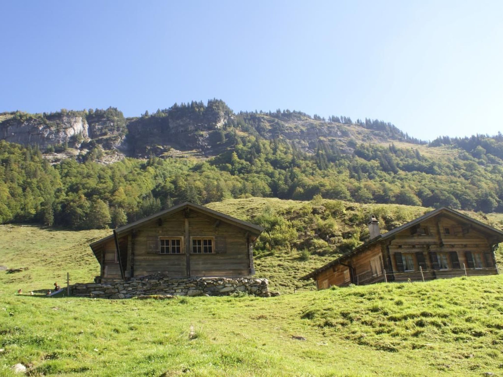 Alphütte Gental - Haslital