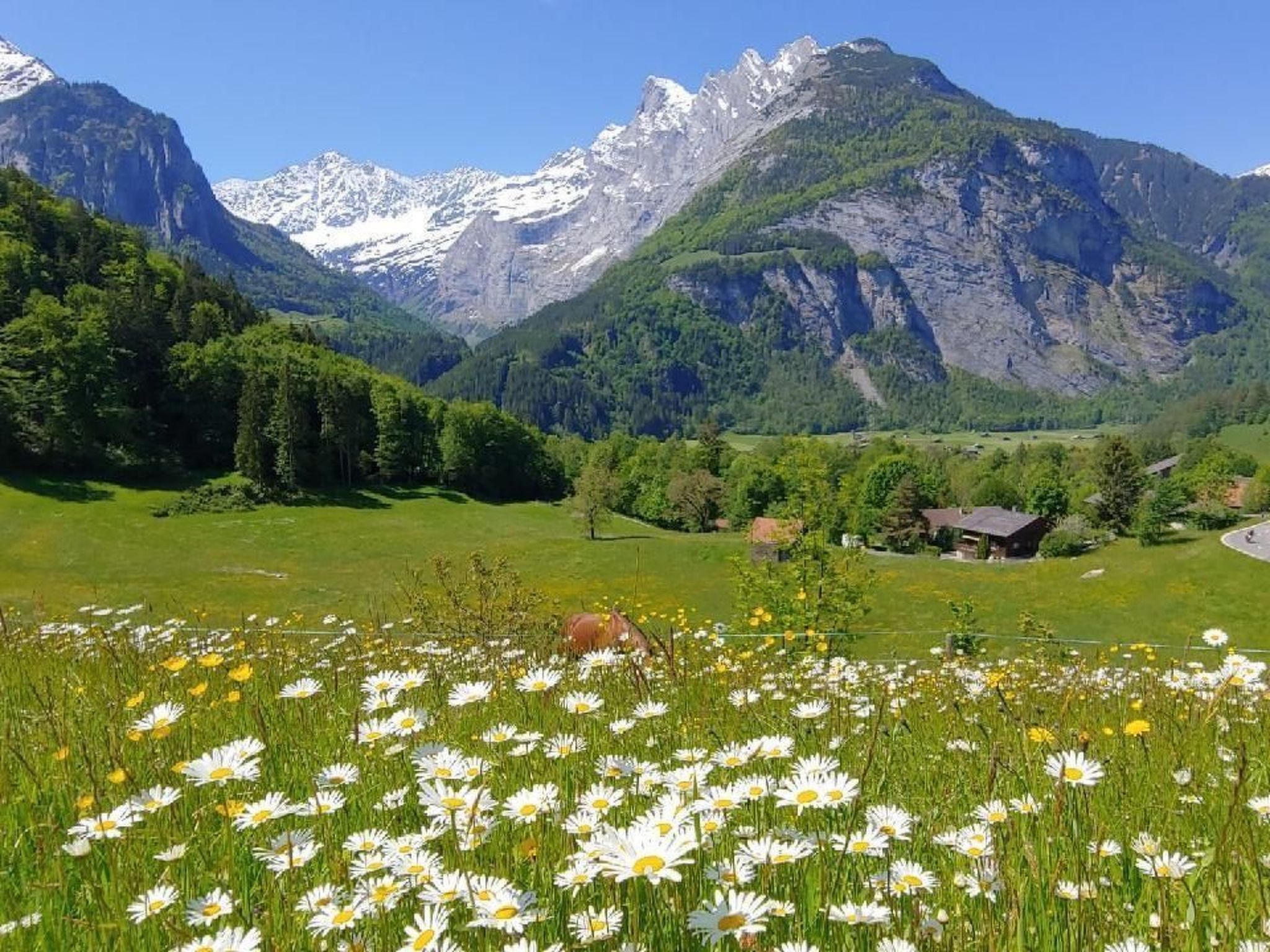 Wohnung mit 3 Schlafzimmern “Wylerdümen”-Image-tags.info