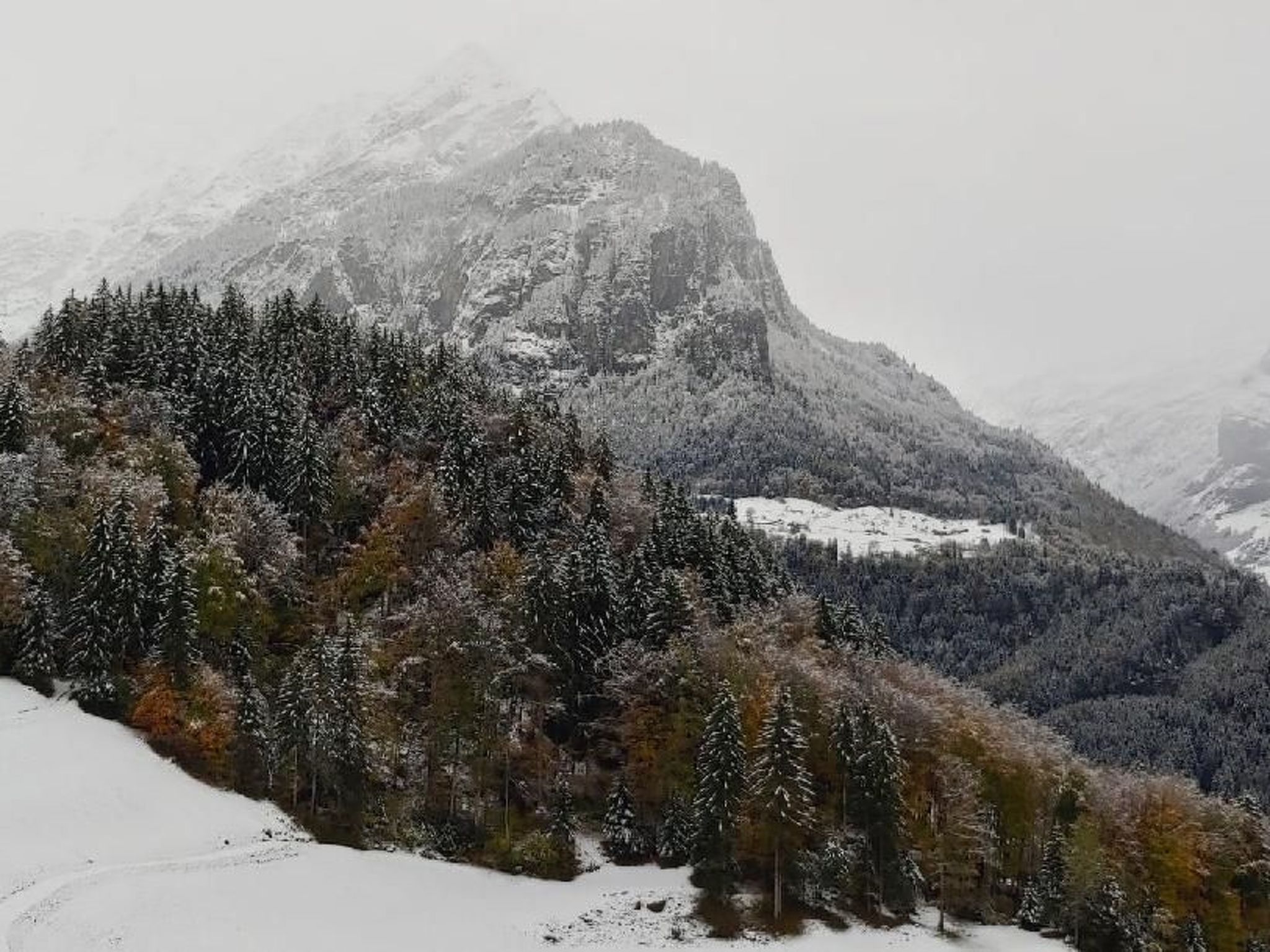 Wohnung mit 3 Schlafzimmern “Wylerdümen”-Image-tags.info