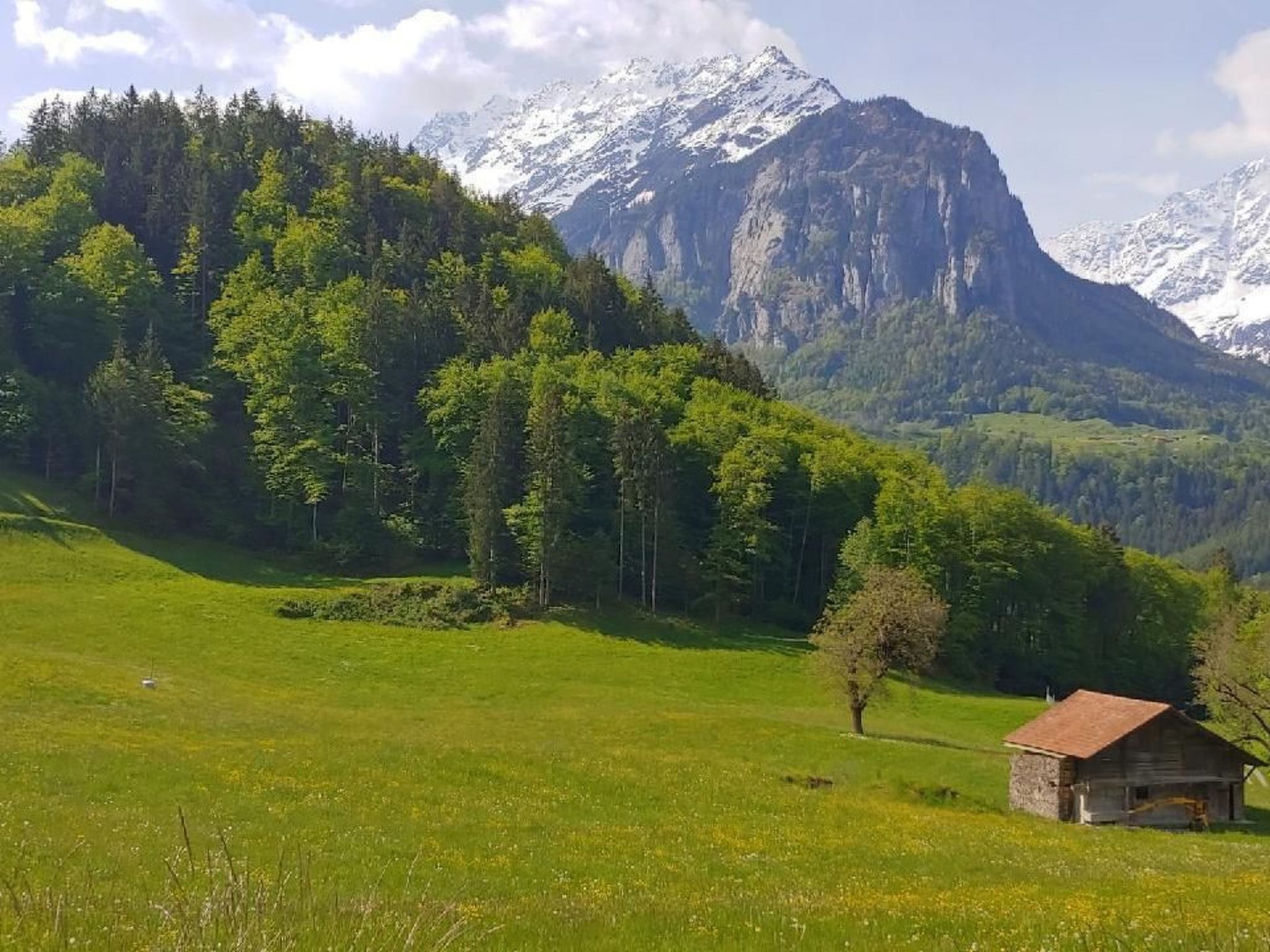 Wohnung Mit 2 Schlafzimmern “Ürbach”-Image-tags.info