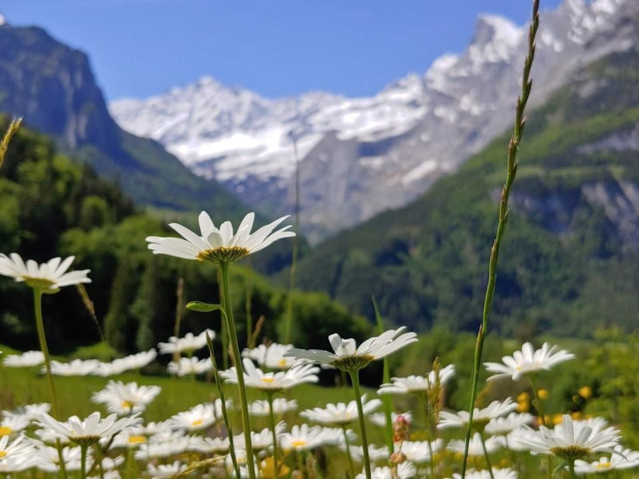 Wohnung Mit 2 Schlafzimmern “Ürbach”-Image-tags.info