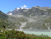 Ferienwohnung Alpenstern Aelpi