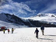 Ferienwohnung Alpenstern Aelpi