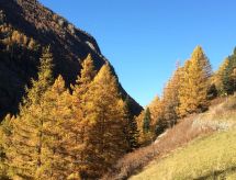Ferienwohnung Alpenstern Aelpi