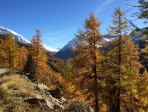 Ferienwohnung Alpenstern Aelpi