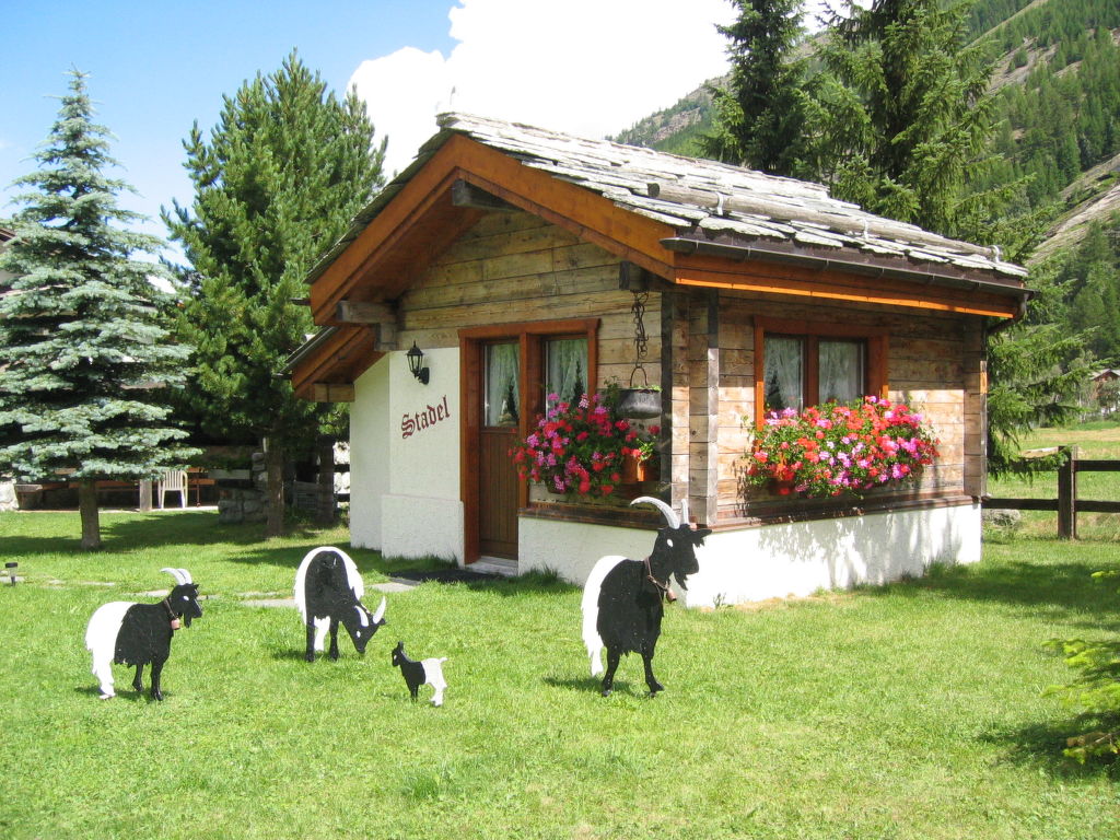 Vakantiehuis Häuschen Stadel in Zwitserland