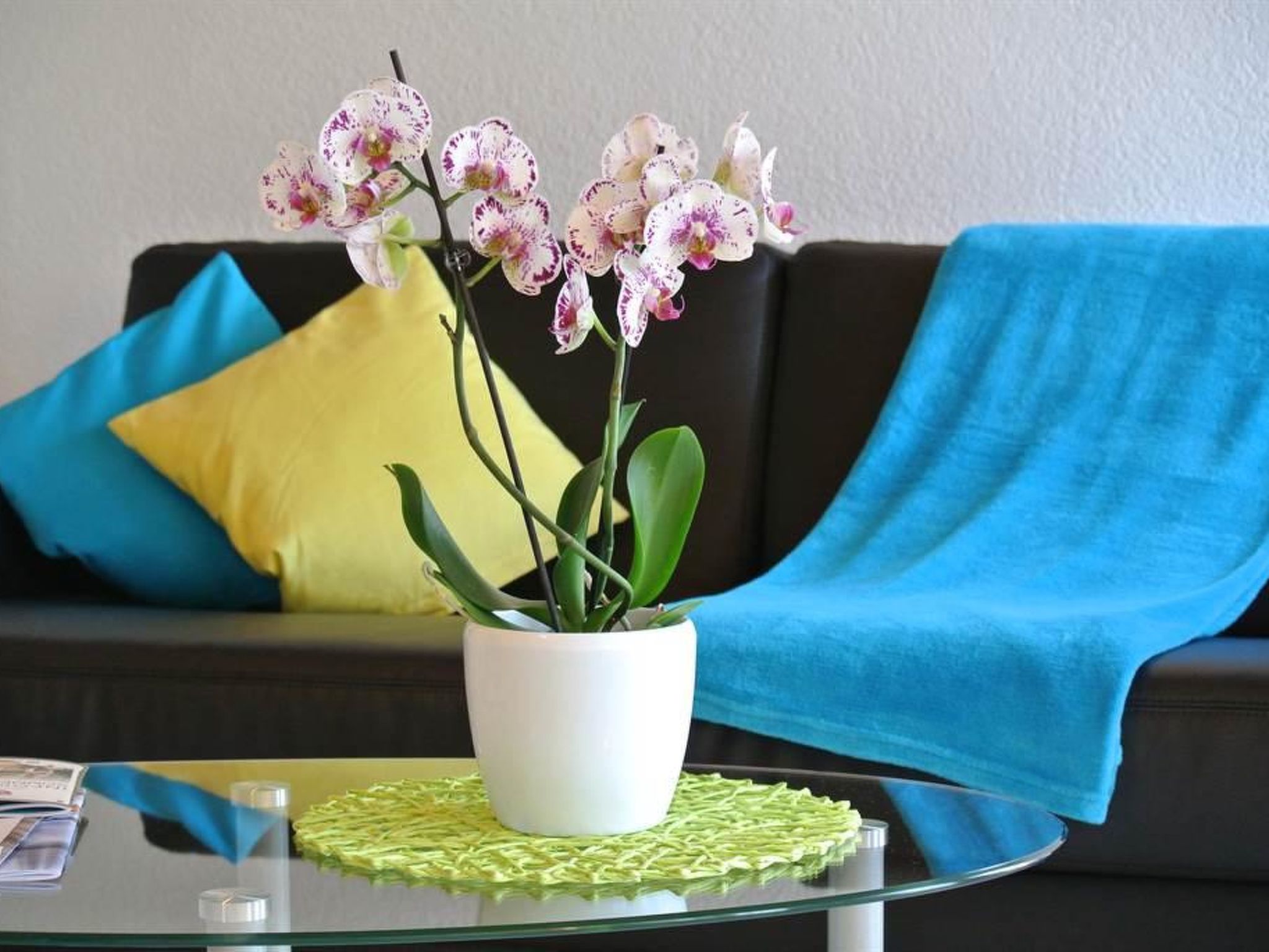 Haus Artemis Appartement/Fewo 4-Bettwohnung Nr. 50 - Binnen