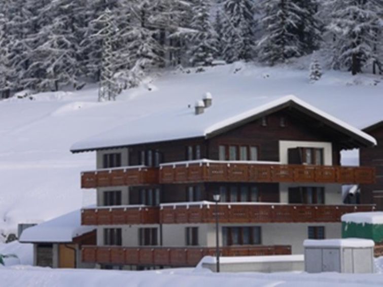 25 m2. Meer informatie beschikbaar bij de aanbieder: The Silberdistel house is situated in quiet surroundings, very close to the bus stop "Bidermatten".
Studio for 2 persons.
Holiday taxes Summer (0..