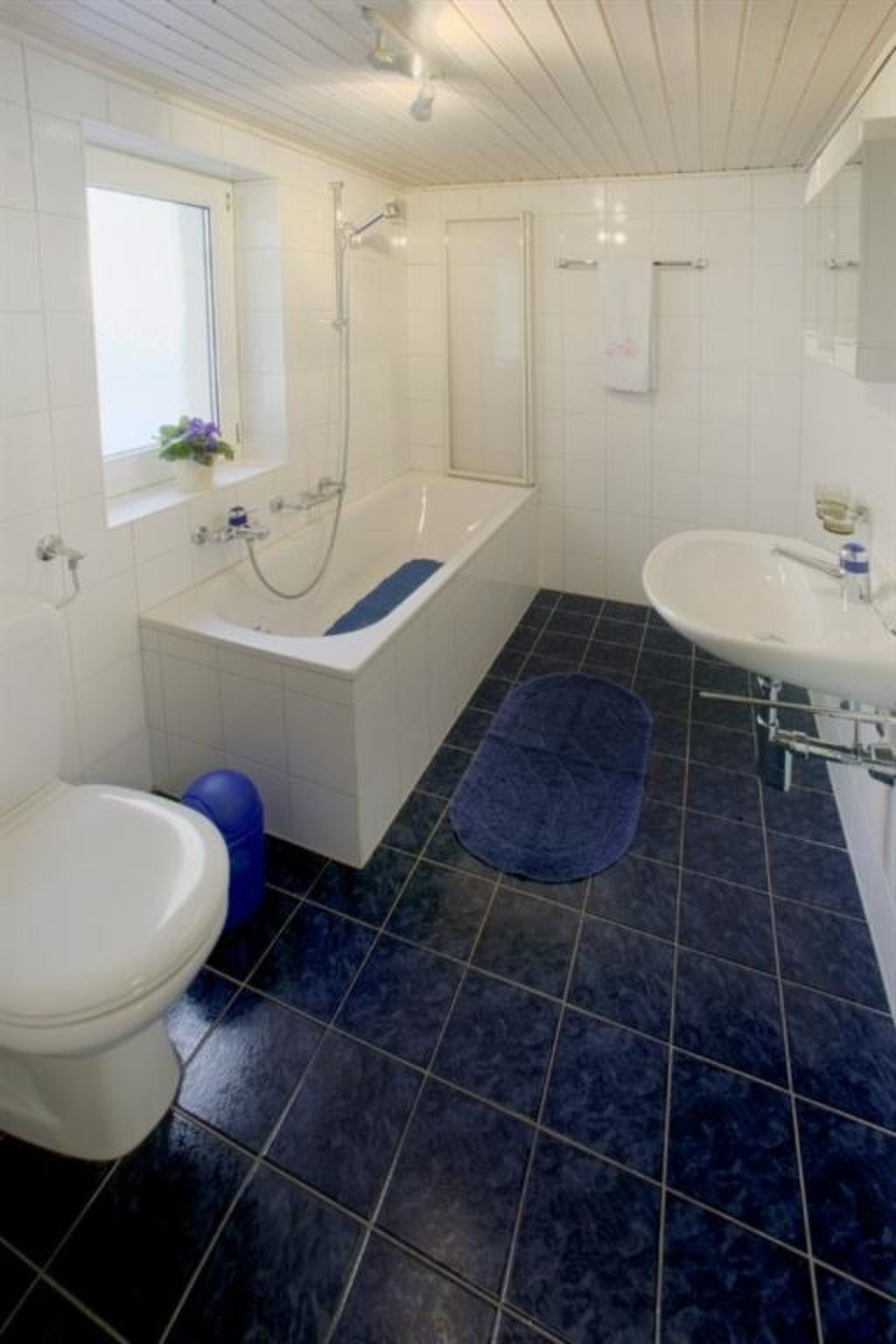 Cortina Appartement/Fewo 4-Bettwohnung Nr. 70