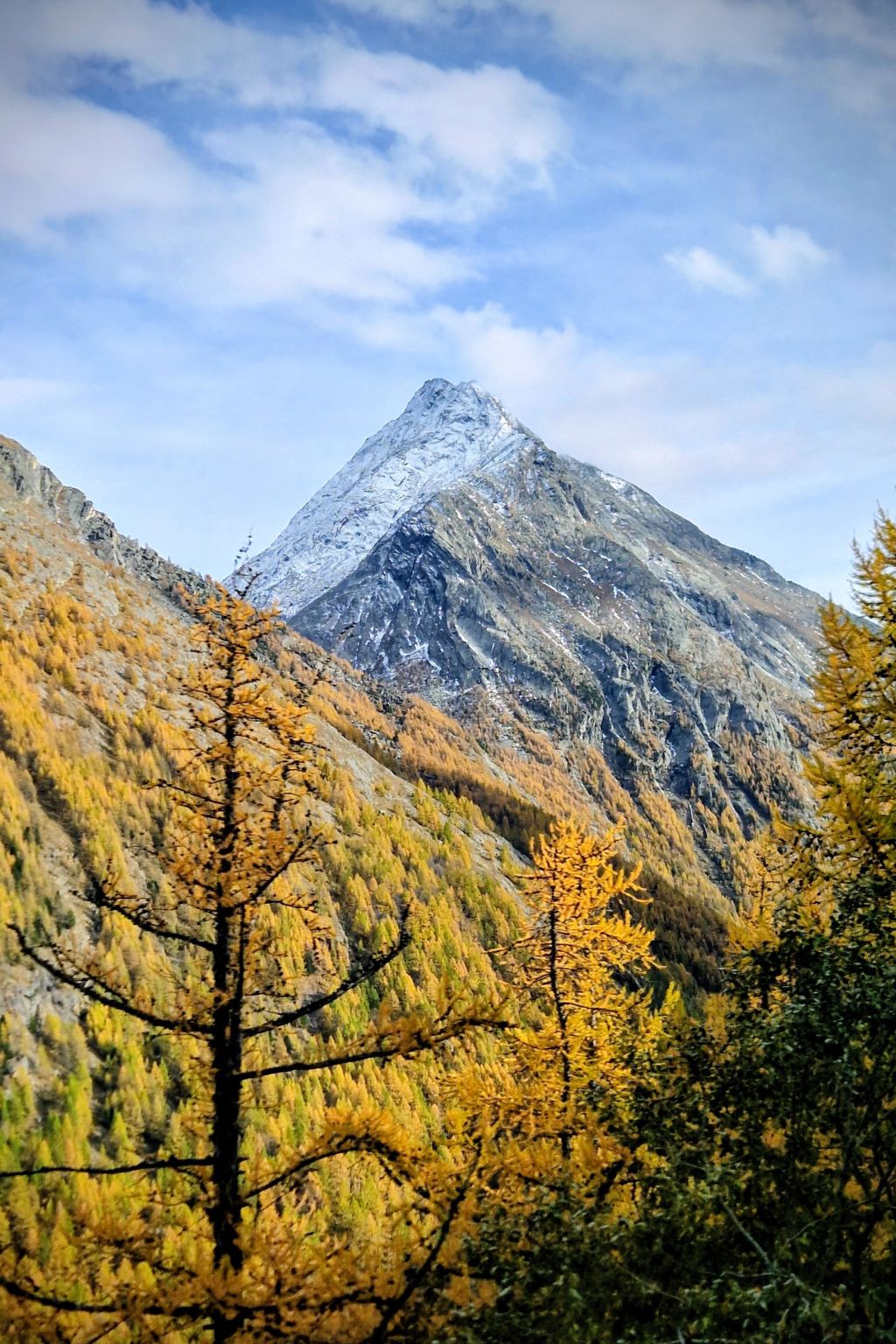 Faderhorn 8 Appartement/Fewo Appartement/Fewo - Dehors