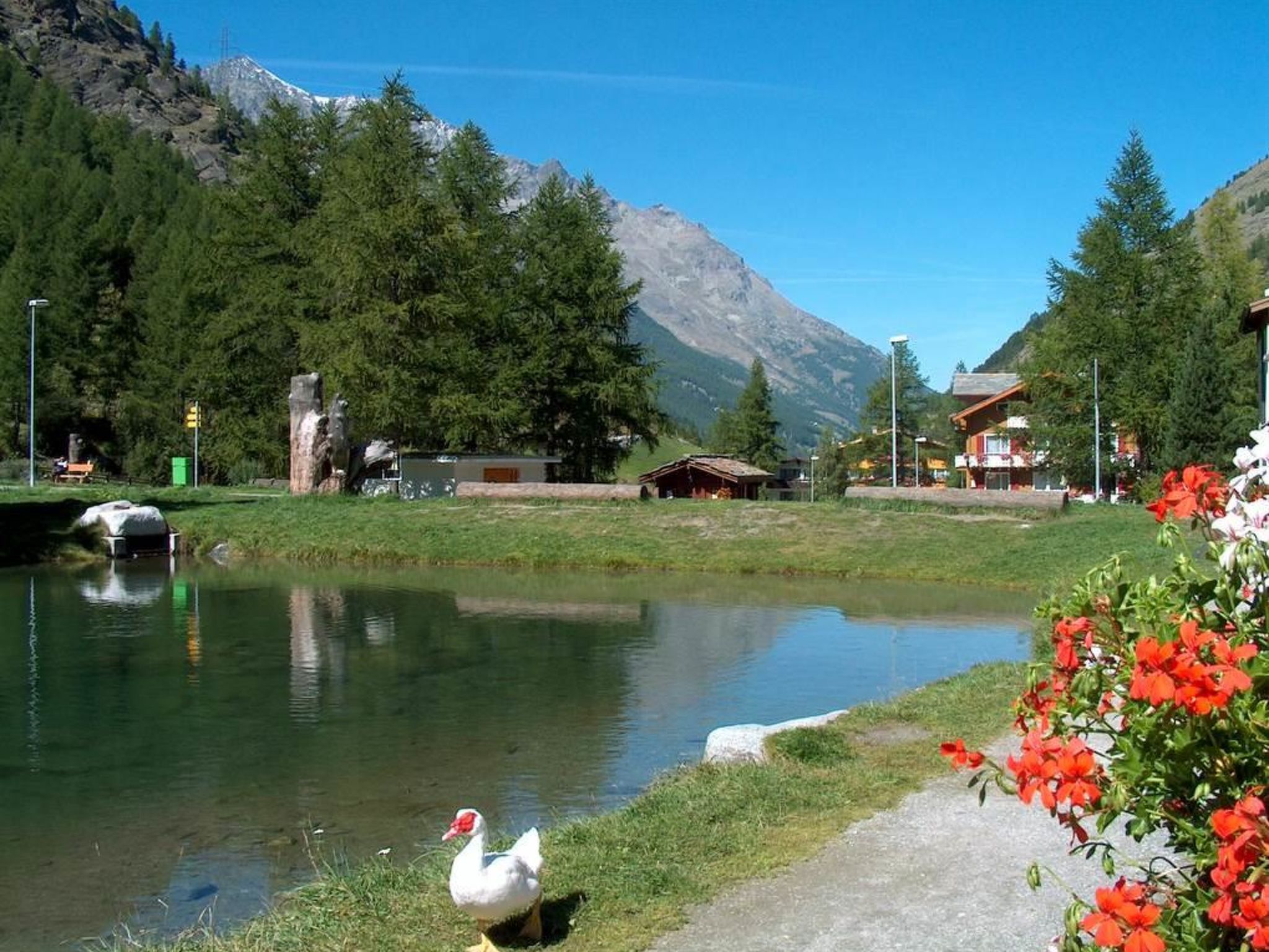 Chalet Alpenrösli Appartement/Fewo Alpenrösli 7-Bettwohnung Nr. 7 - Buiten