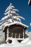 Ferienwohnung Chalet Alpenrösli