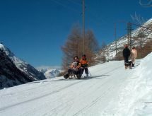 Lejlighed Haus Alpenrose
