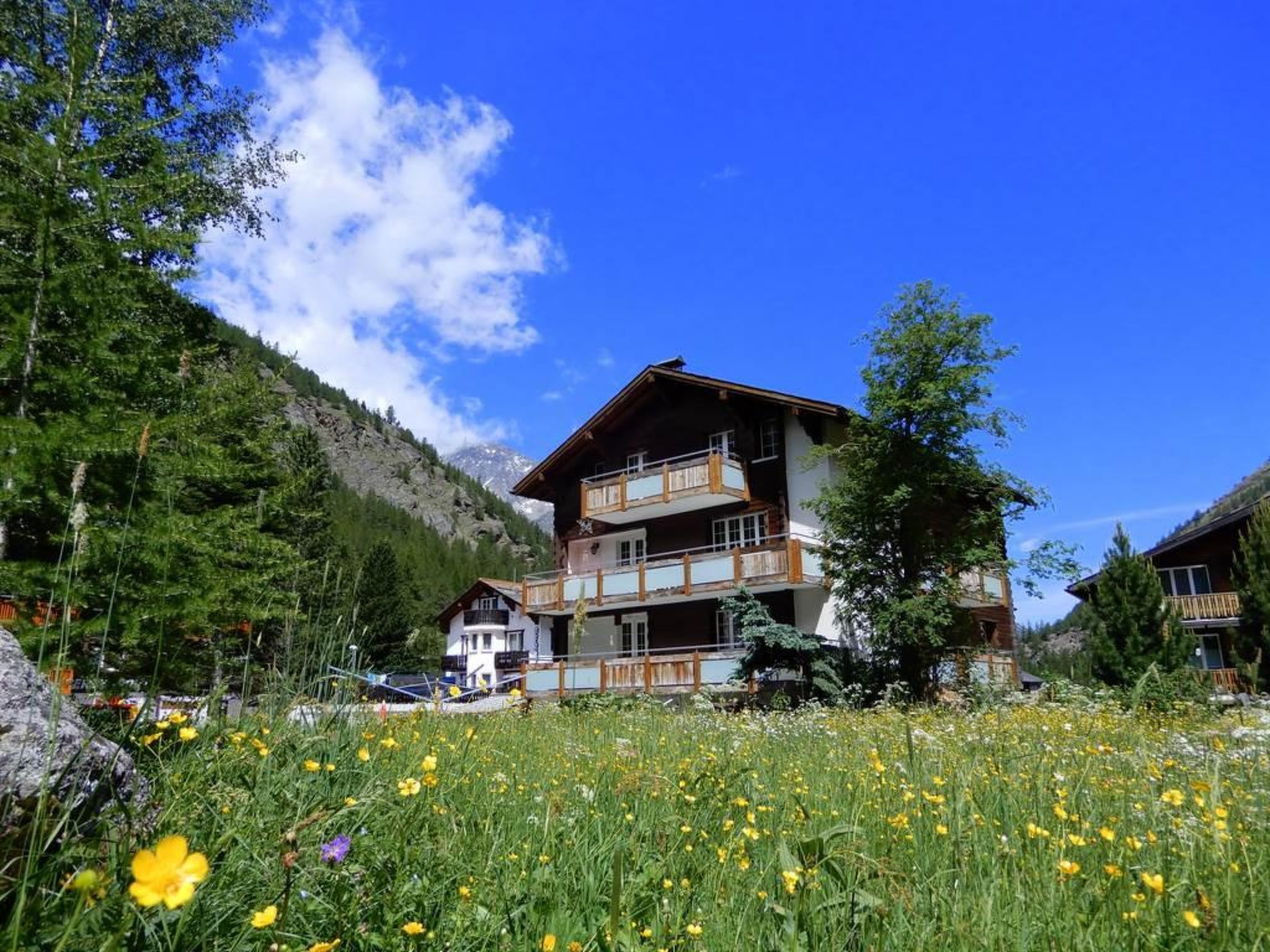 Alpenperle Appartement/Fewo 6-Bettwohnung