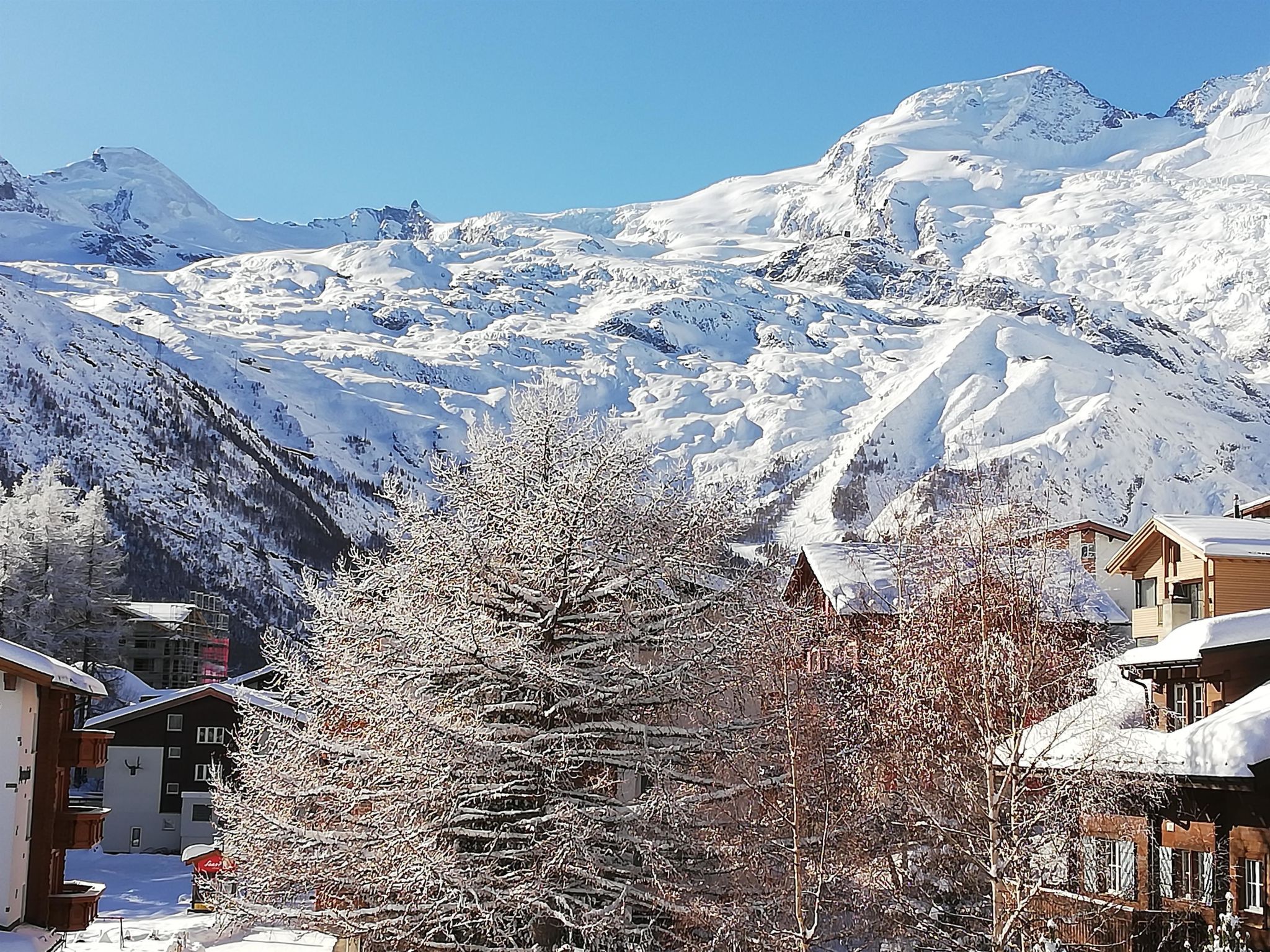 Photo of Floralpina