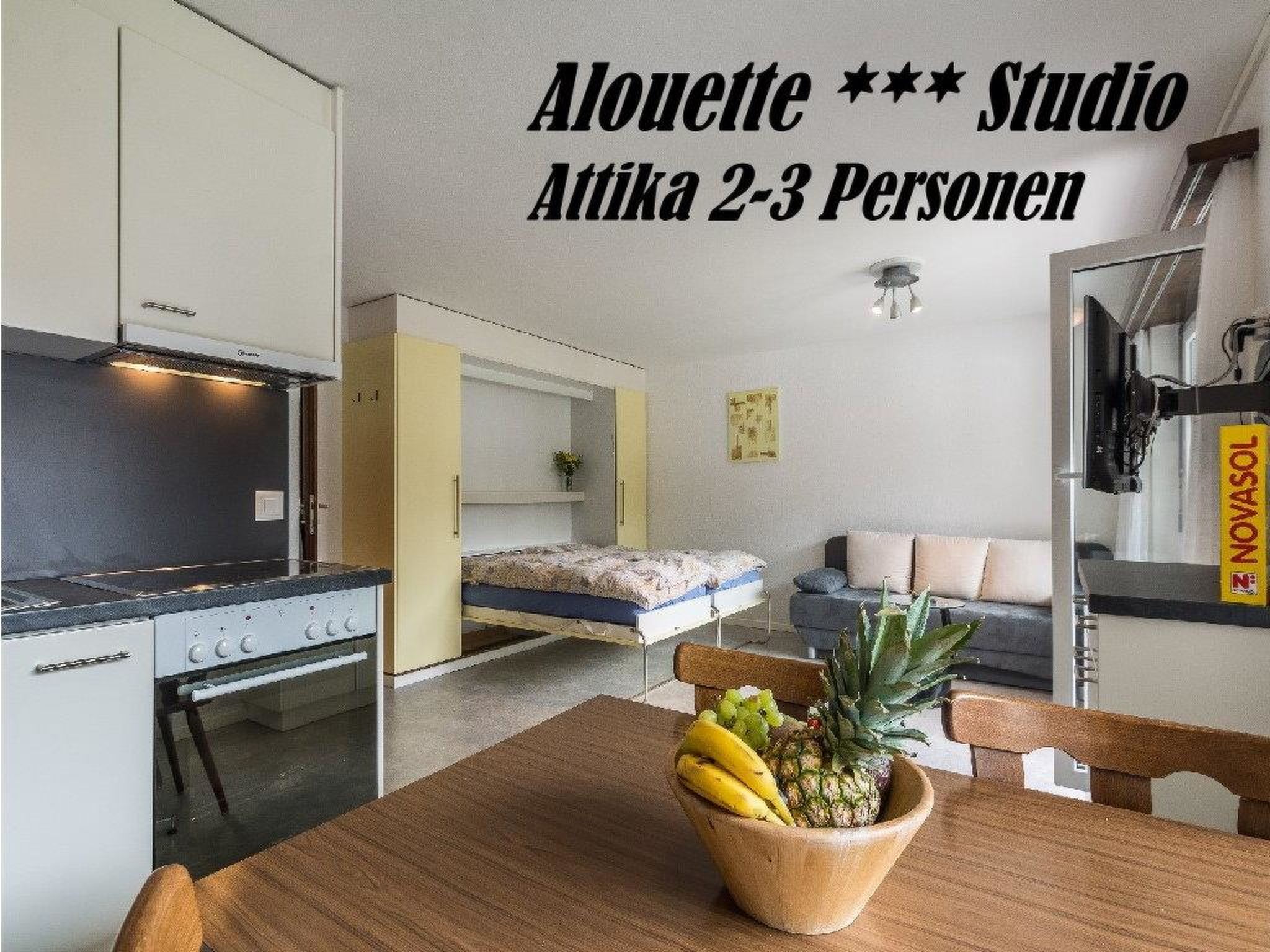 Alouette Appartement/Fewo 2-Bettwohnung Nr. 17