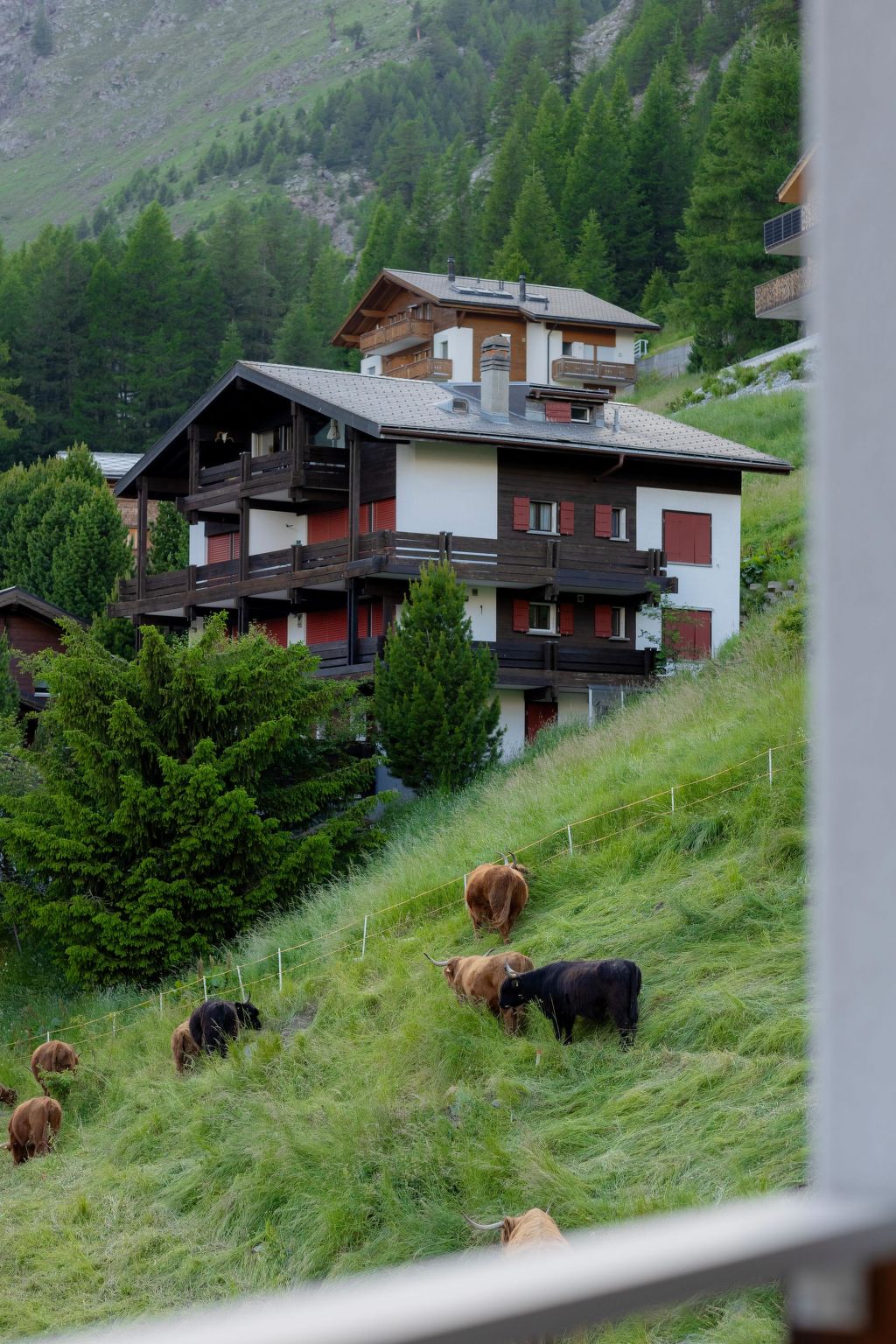 Photo of Appartement/Fewo