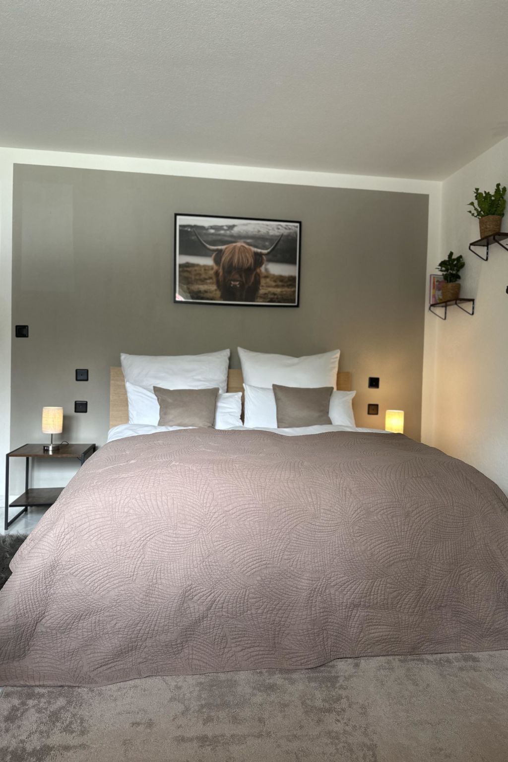 Falke EG Appartement/Fewo Greenspot Apartment - Drinnen