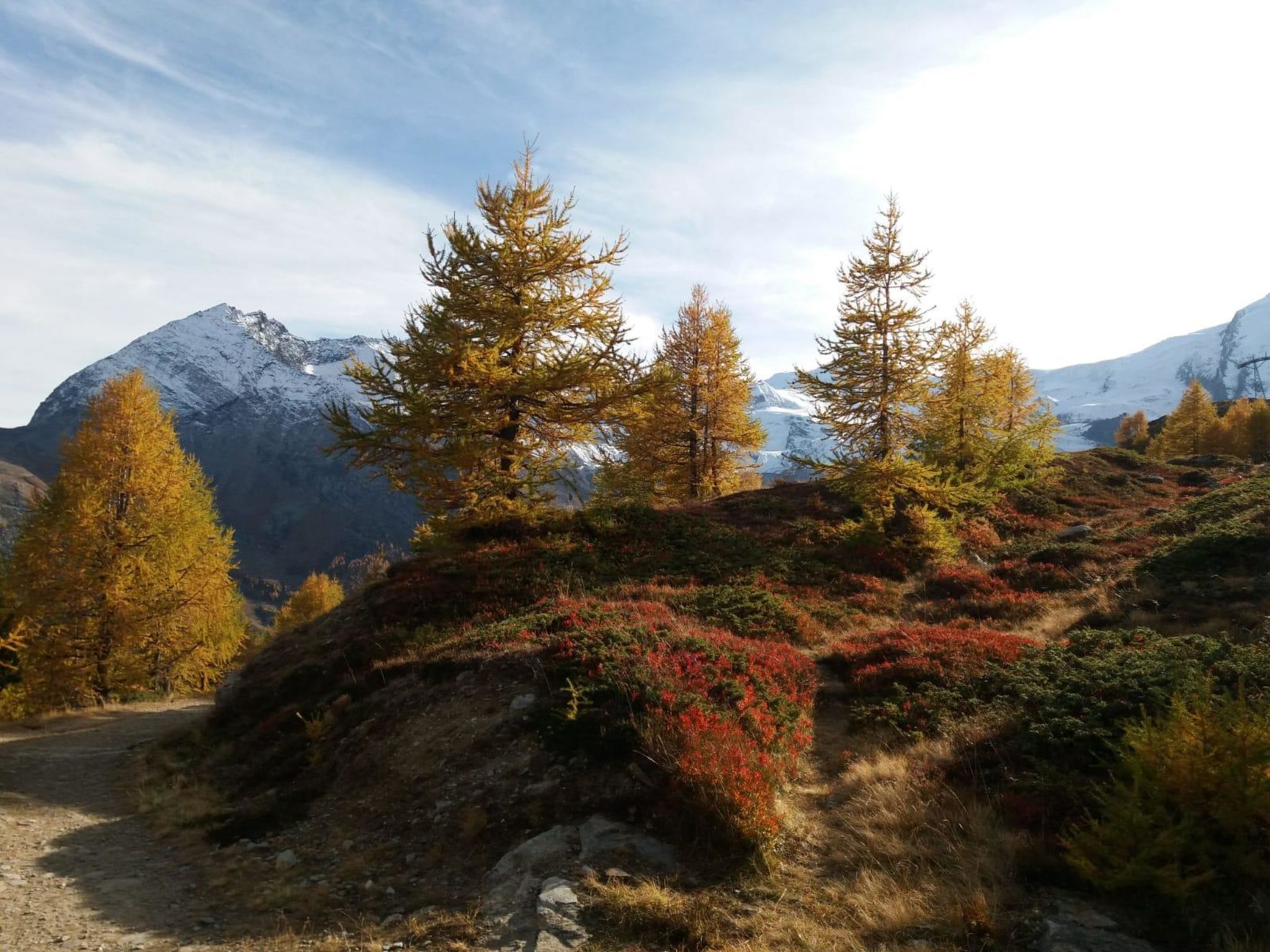 Photo of Chalet Bambi