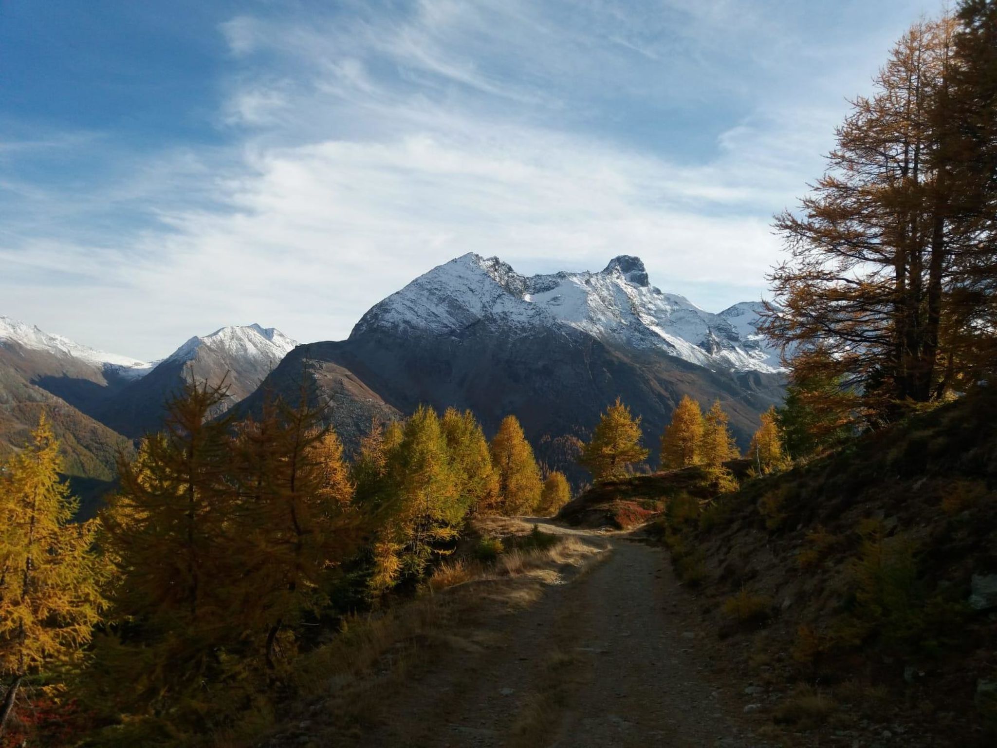 Photo of Chalet Bambi