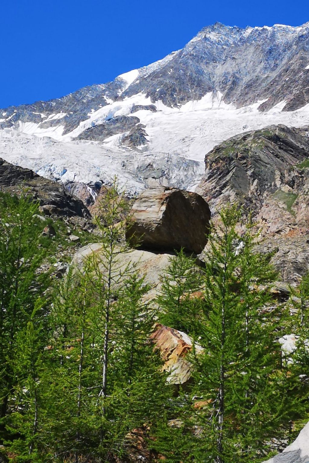Photo of Chalet Bambi