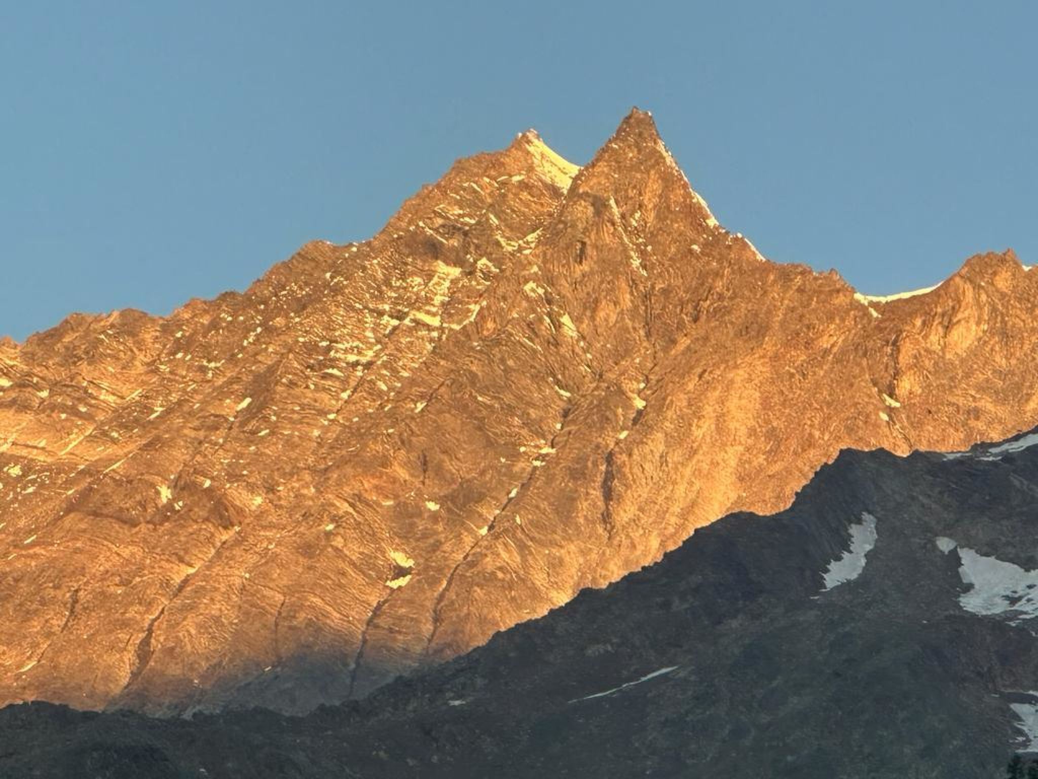 Photo of Bettina 8