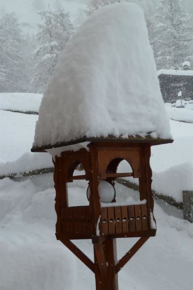 Photo of Haus Amedee