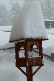 Appartement Haus Amedee