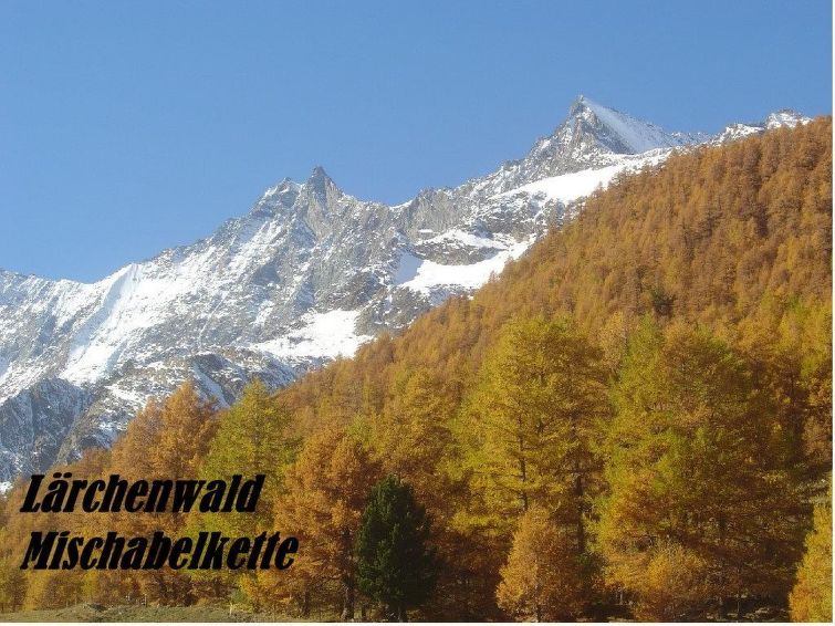 Photo of Chalet Saasia