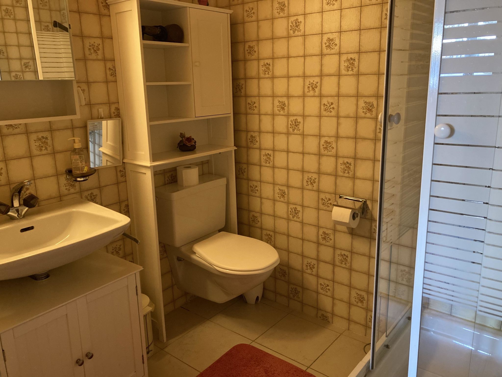 Chalet Sunnuterrasse Appartement/Fewo, Dusche, WC 4-Zimmerwohnung Dusche, WC - Dedans