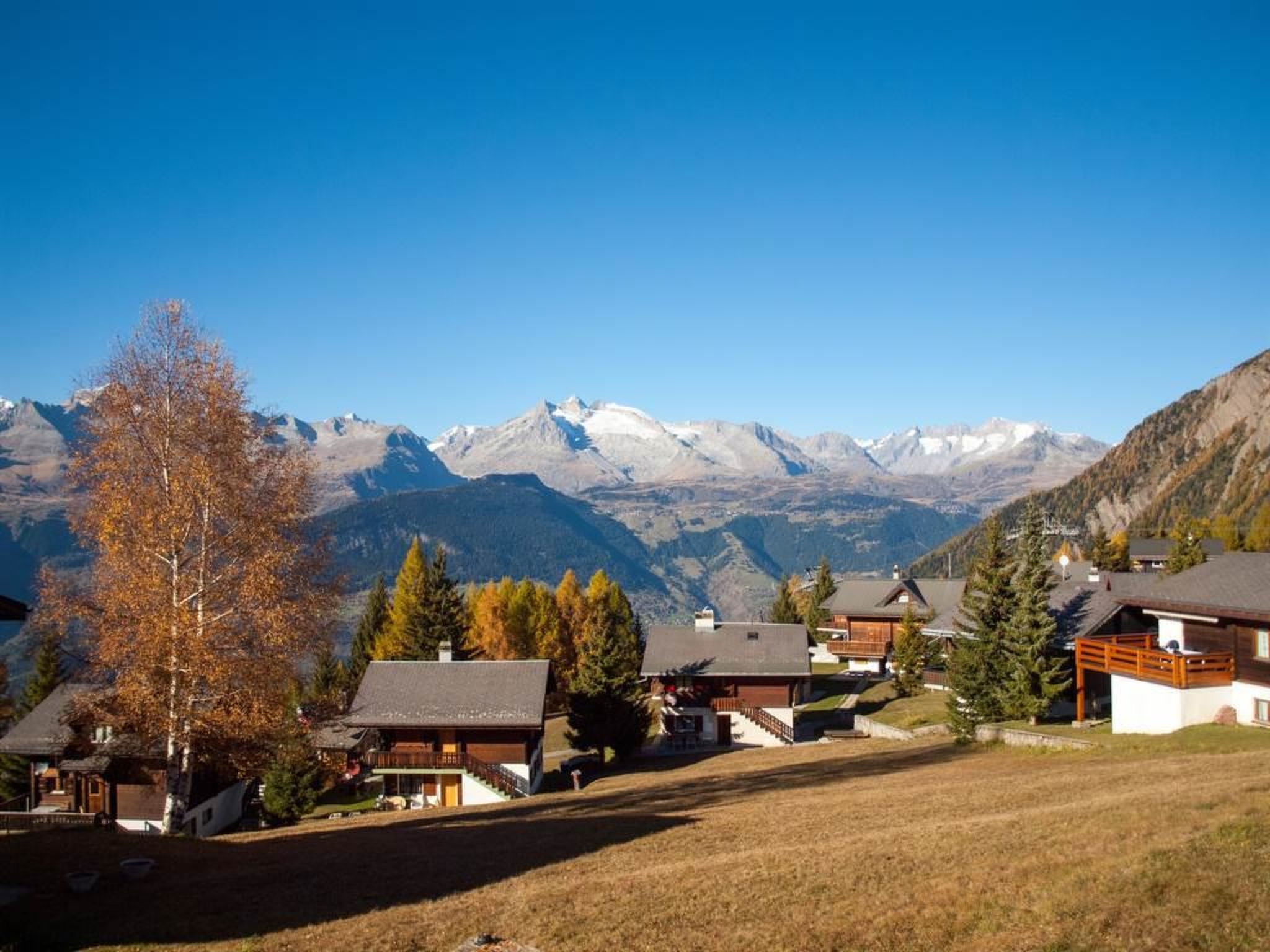 Chalet Bergfink 4-Bettwohnung, Dusche, WC 4-Bettwohnung - Image-tags.info