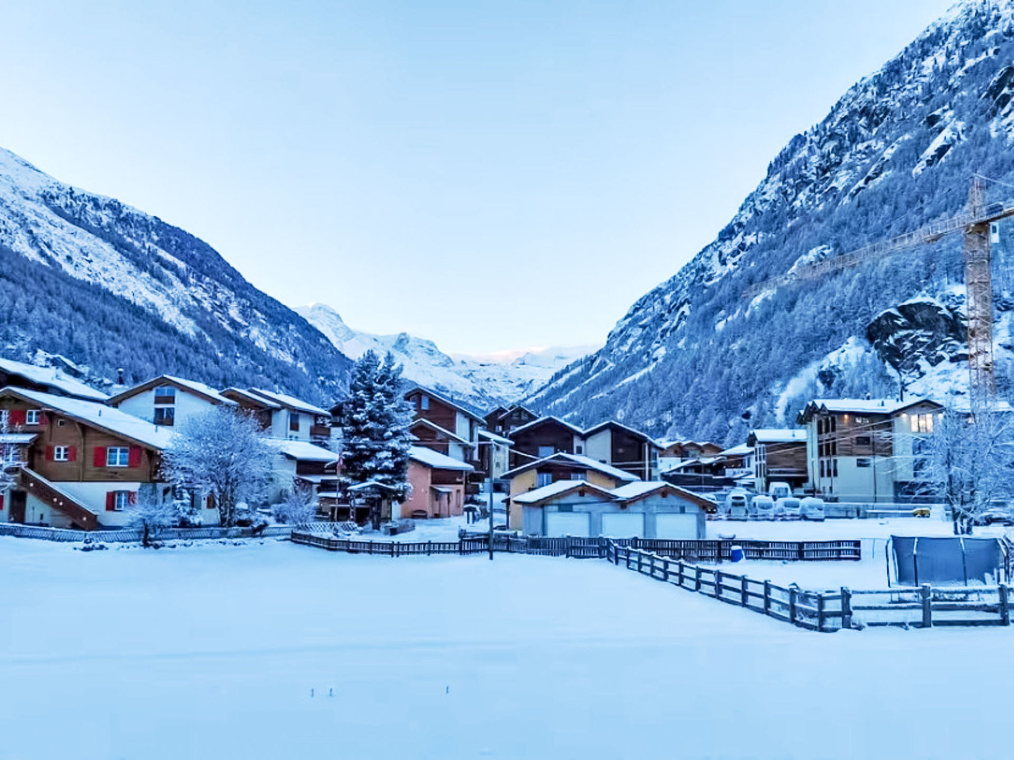 Alpenperle