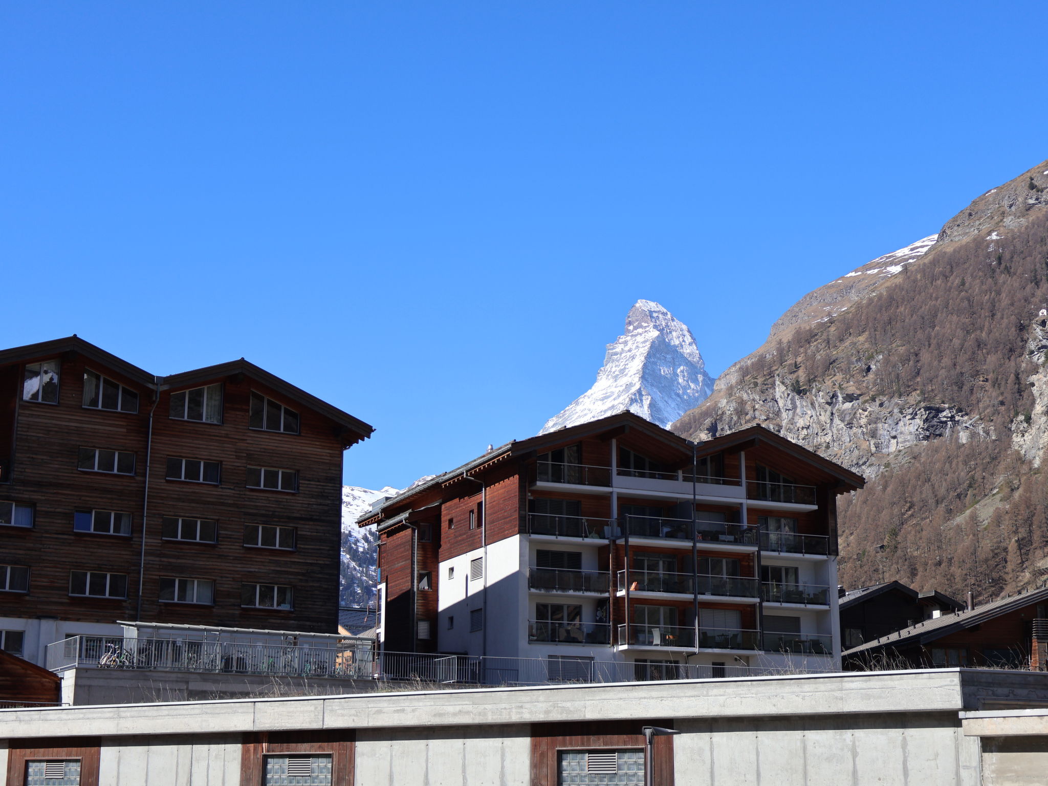 Photo of Les Violettes