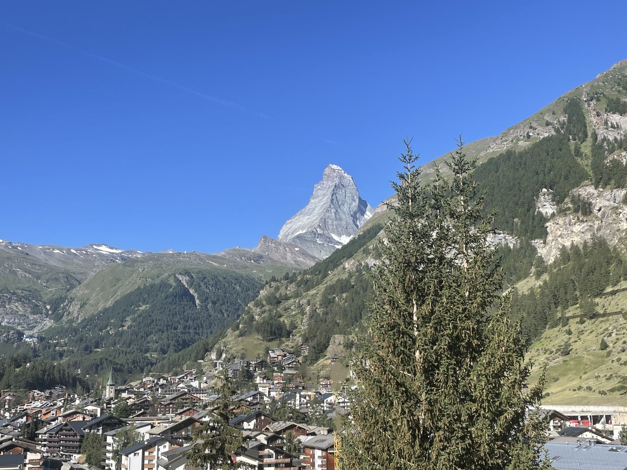Photo of Aquila