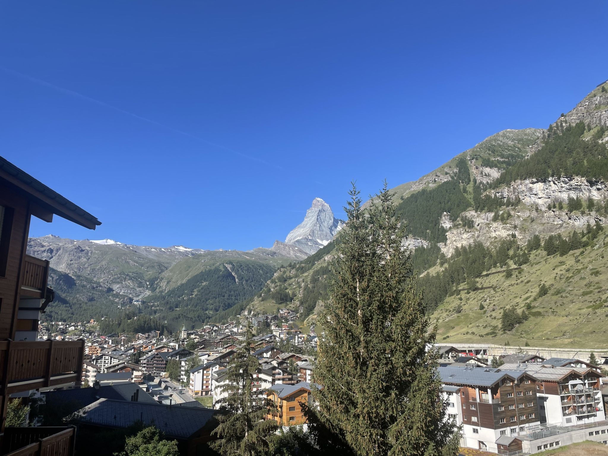 Photo of Aquila
