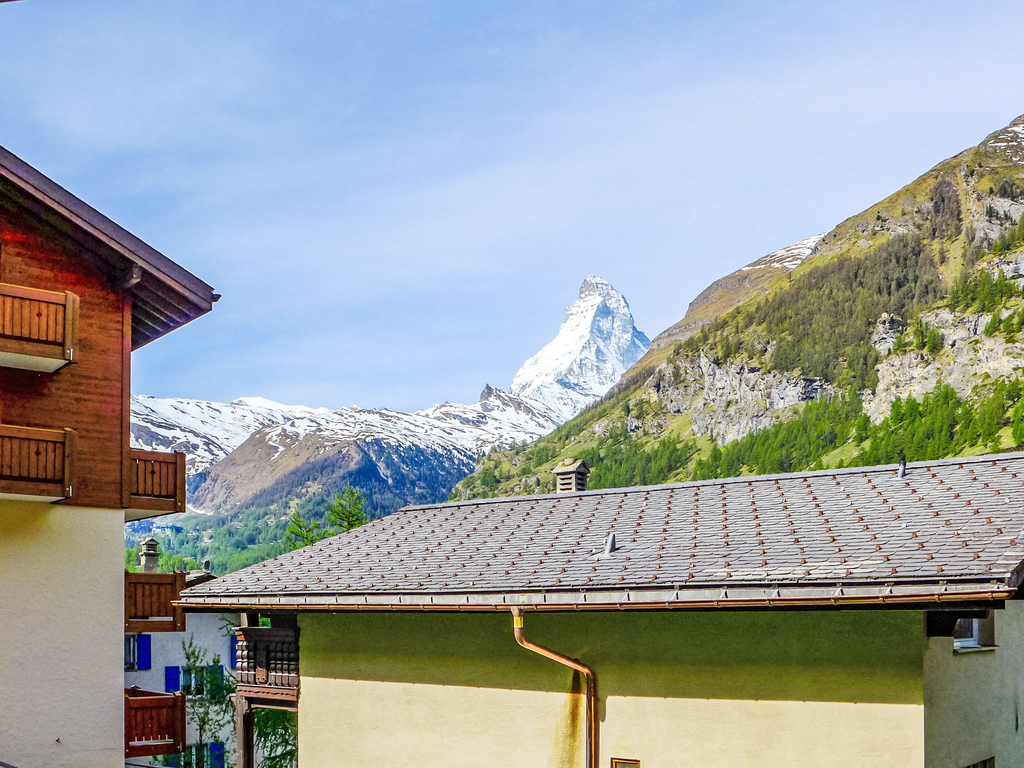 Dianthus Apartment in Zermatt