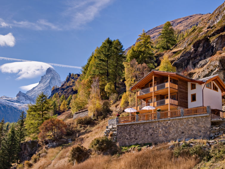 Chalet Gemini - Apartment - Zermatt