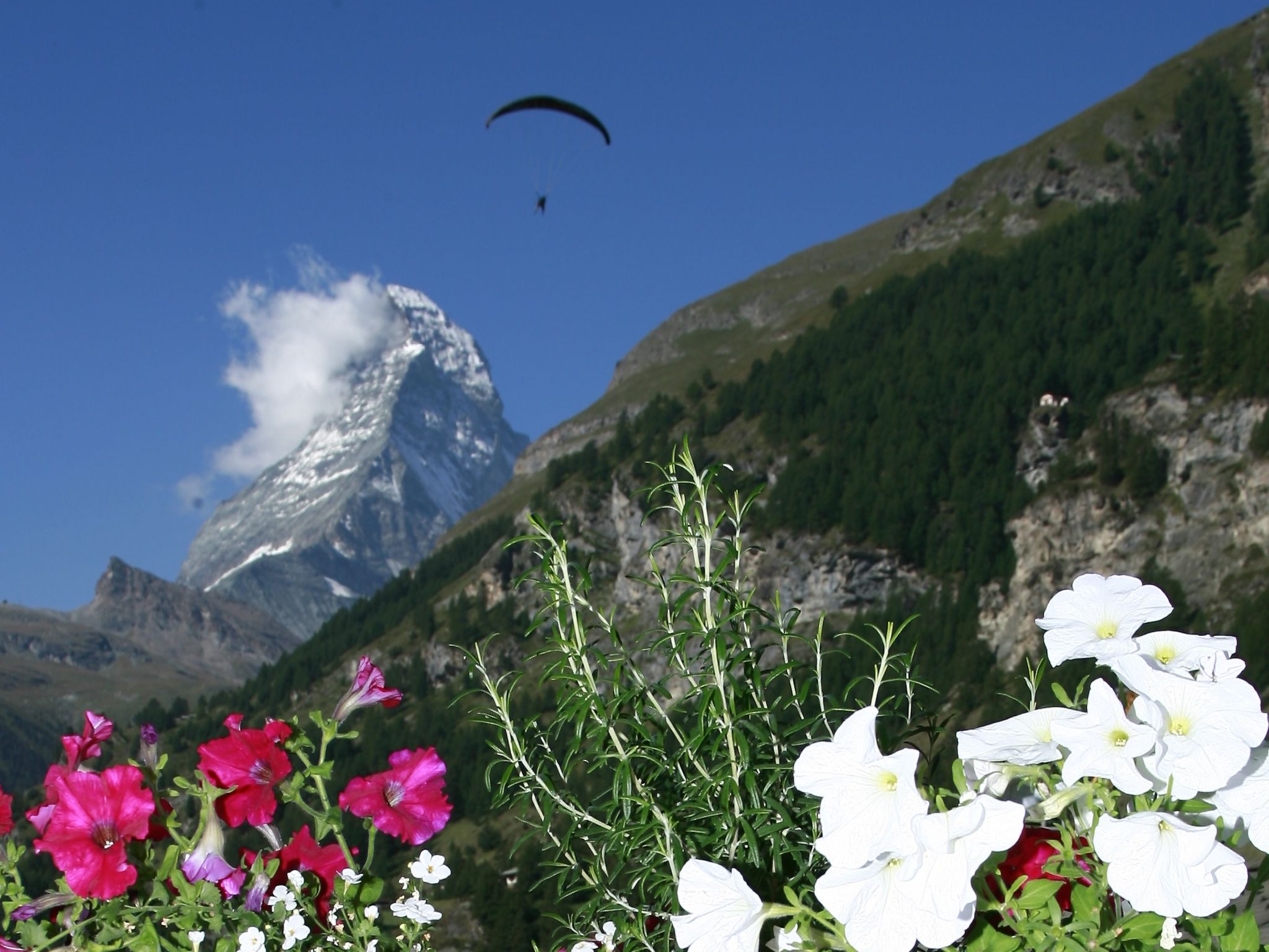 Apartments Patricia, (Zermatt), - Buiten