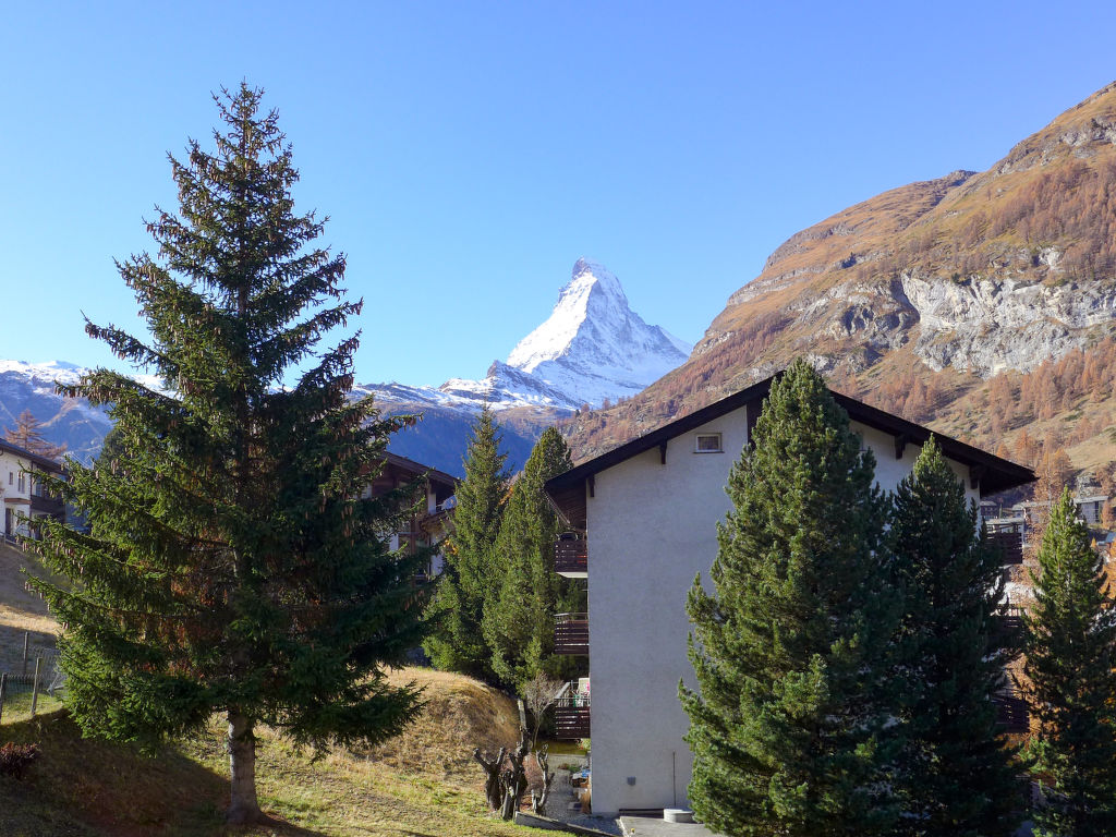 Ferienwohnung St. Bernhard Ferienwohnung in Zermatt