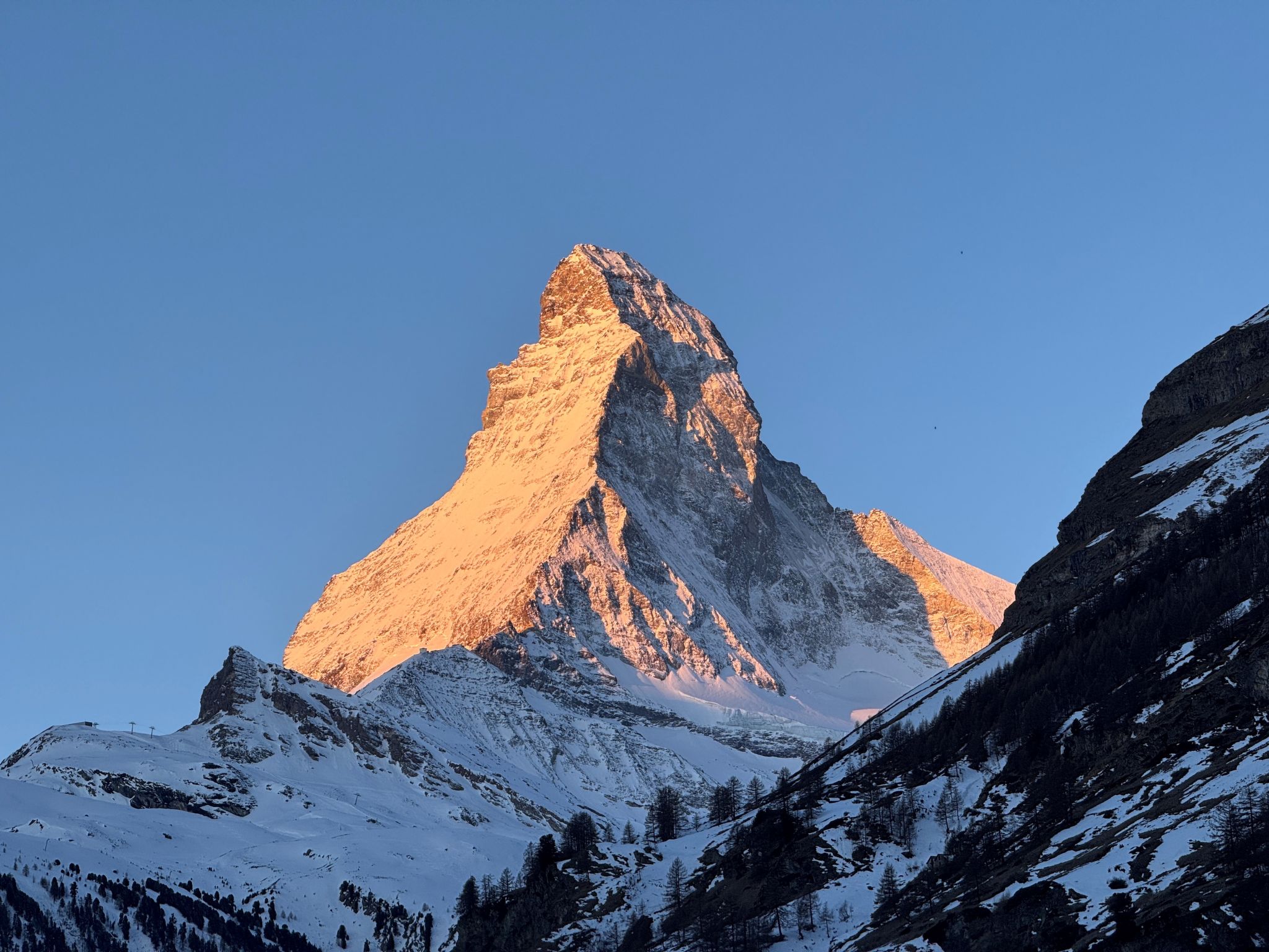 Photo of Saphir